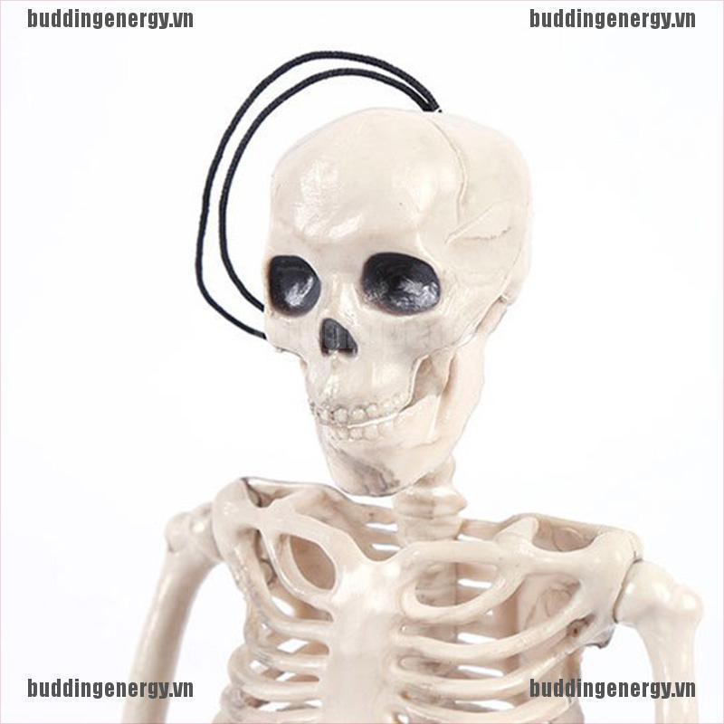 Mô Hình Bộ Xương Người 2020 Dùng Để Trang Trí Halloween Tiện Dụng