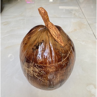 Vỏ bình ủ trà hình trái dừa