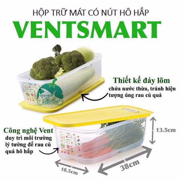 💥 GIẢM GIÁ GỐC 💥 Hộp trữ mát có nút hô hấp Ventsmart 6.1L Tupperware