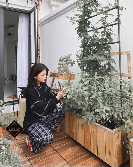 Áo thun cotton viền nổi | BigBuy360 - bigbuy360.vn