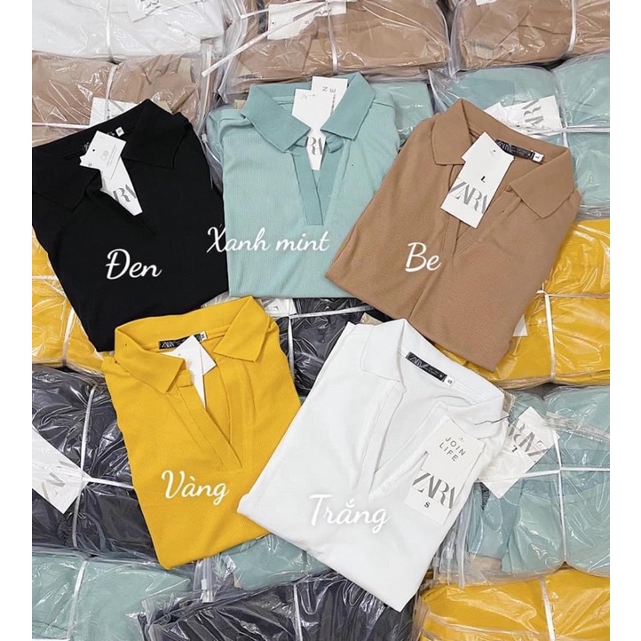 Áo polo Zara thun tăm cho nữ