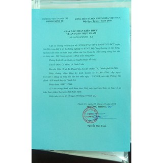 Sỉ 2l Dầu Ôliu