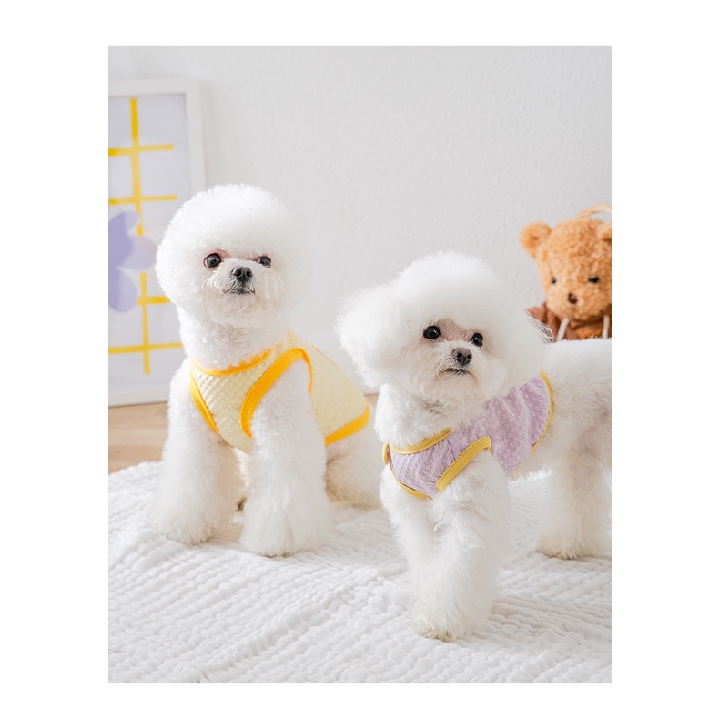 áo xinh có nút gài cổ in hình cute cho chó mèo