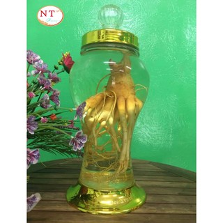 Bình Thủy Tinh Ngâm Rượu Sâm 2 Lít.