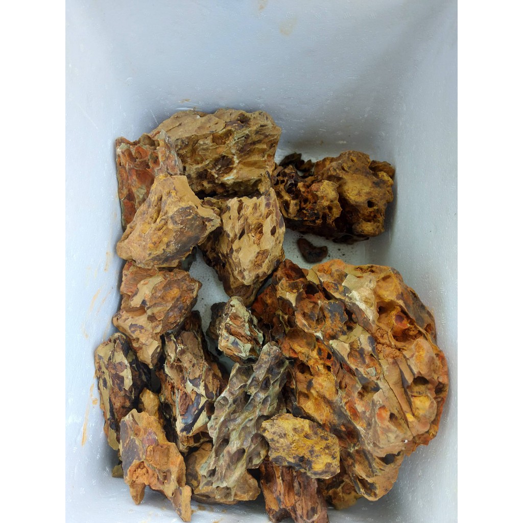 Đá Tiger - Đá Trang Trí Bể Thủy Sinh 1Kg