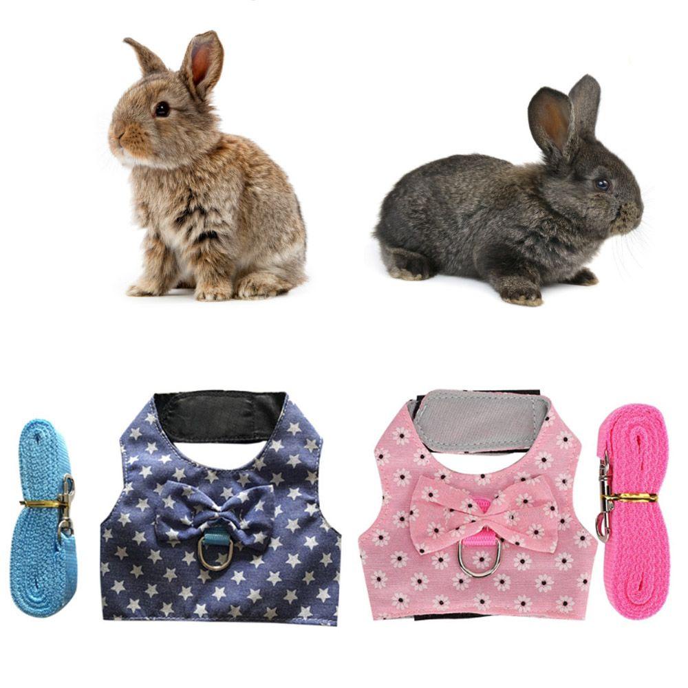 Dây Dắt Thú Cưng Đi Dạo Thoáng Khí Điều Chỉnh Được