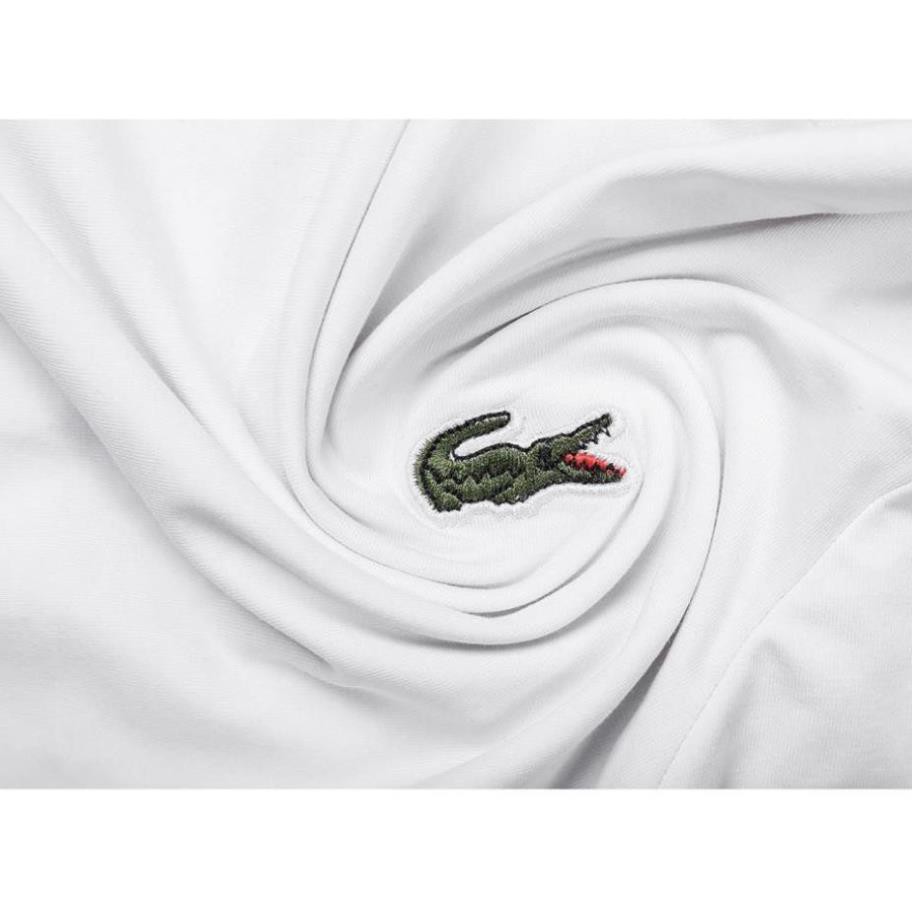 Áo Phông Nam Không Cổ Cá Sấu ( A002) | BigBuy360 - bigbuy360.vn