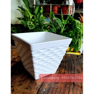 Chậu nhựa giả sứ siêu đẹp, siêu sang
