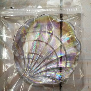 Đĩa Sò Cầu Vồng 🌈🌈✨ [ Thủy Tinh ]
