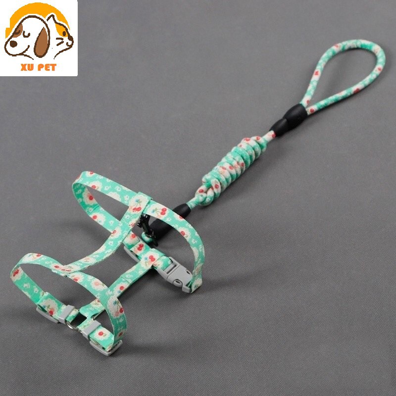 Dây Dắt Chó Mèo Đi Dạo Kiểu Nhật