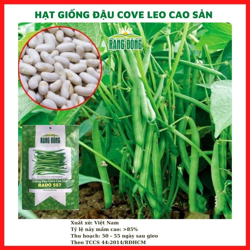Hạt giống rau củ quả COMBO 9 loại rau chịu nhiệt 4 mùa trồng chậu dễ chăm sóc, tỉ lệ nảy mầm cao RÂDO