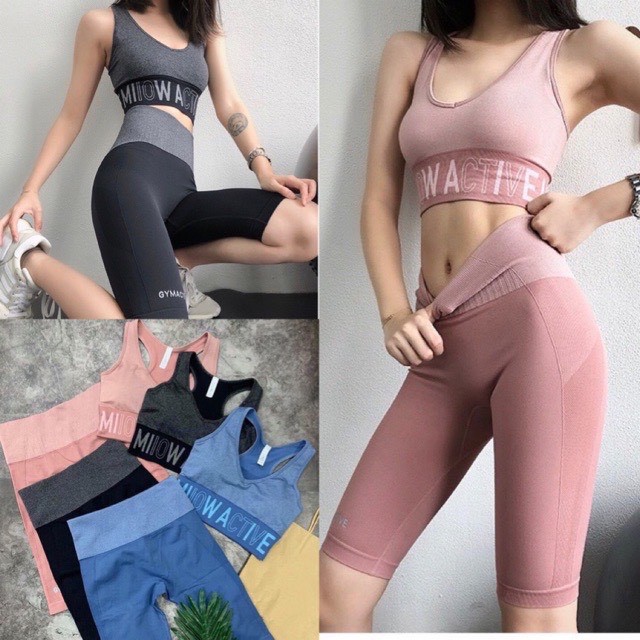 Bộ Tập GYM -YOGA  Hàng Quảng Châu -Cao Cấp - Chất Dệt Kim (BT02)