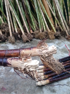 Sáo tiêu trạm rồng