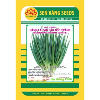 Gói 2Gr Hạt giống Hành lá Gốc trắng Cao Sản Năng Suất nhanh thu hoạch Dễ trồng
