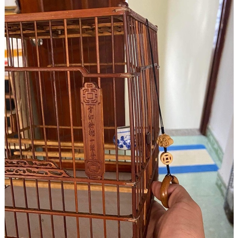 Dây Nắm lồng chim - Trung Quốc