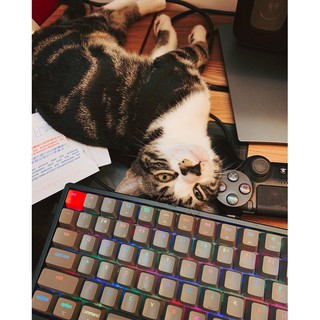 Bàn phím - Keyboard Keychron K2 Nhựa