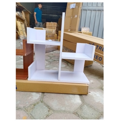 Kệ sách gỗ để bàn Hình Cây Xương Rồng