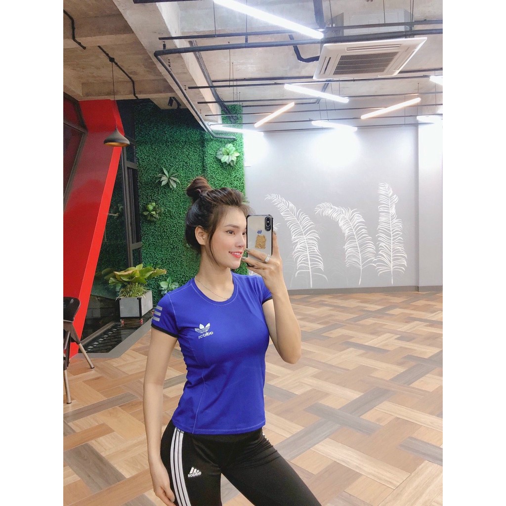 Đồ Tập Gym Nữ, Sét Bộ Quần Lửng Aó Thun Phủ Bụng Tập Gym Thể Thao Nữ Bin Sport BL020