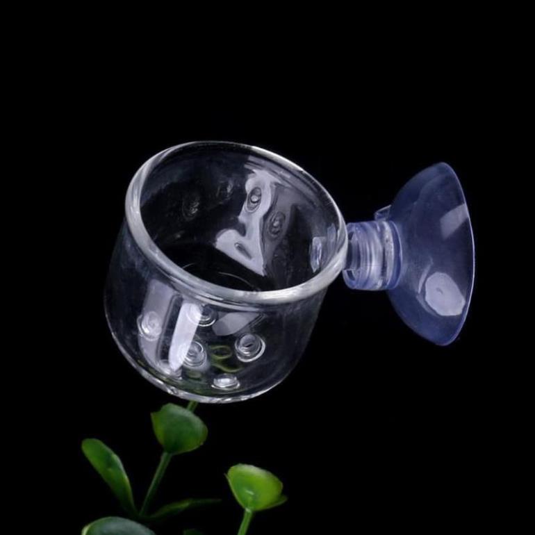 Cốc thủy tinh có lỗ chứa giun cho cá ăn , cốc thủy tinh có lổ trồng cây - phụ kiện thủy sinh cá tép cảnh giá tốt