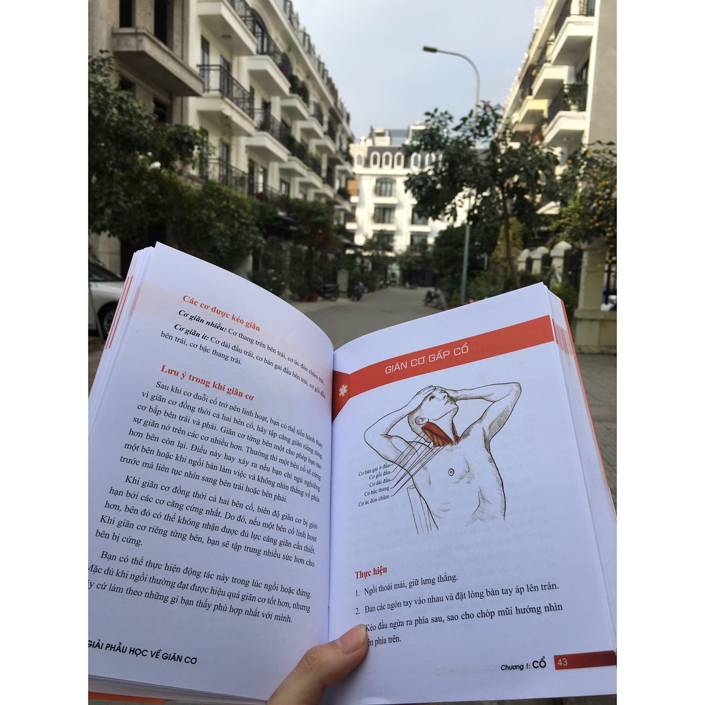 Sách Thể Thao - Combo Sức khỏe - Giãn cơ chuyên nghiệp dành cho người chạy bộ - Giải phẫu học về giãn cơ - Pandabooks | BigBuy360 - bigbuy360.vn