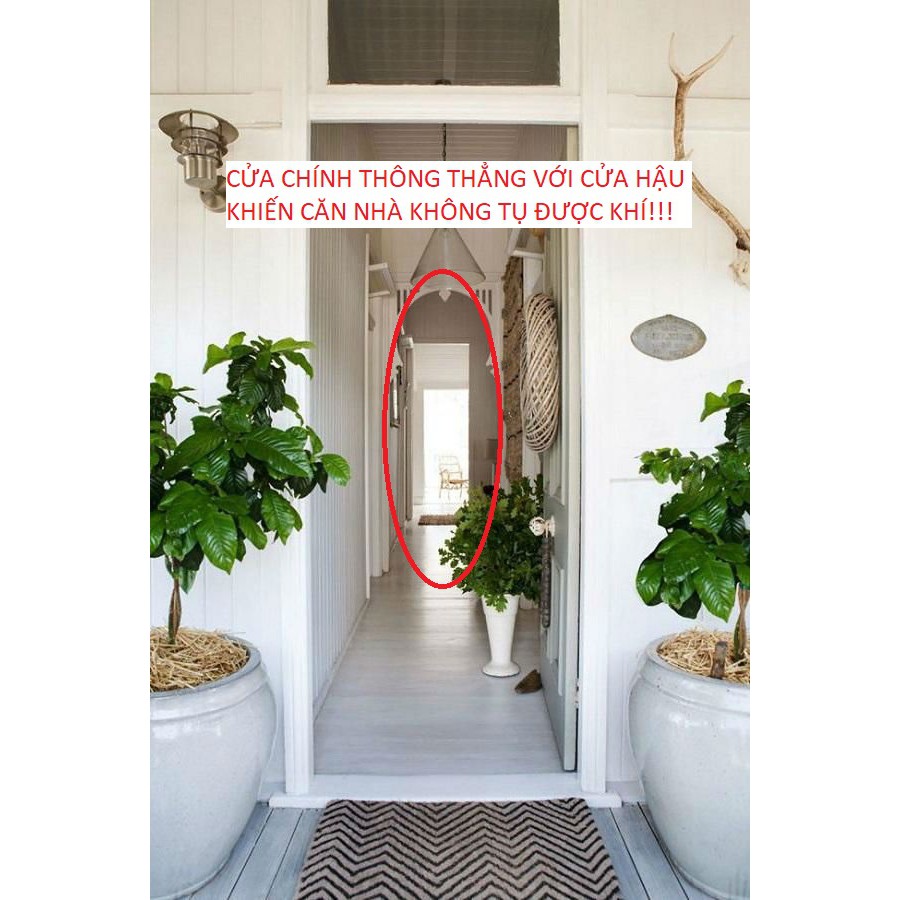 Quả Cầu Pha Lê Phong Thủy Trấn Trạch (4cm) – Hóa Giải Nhà Có Cửa Chính Thông Cửa Hậu - PT Sư Tam Nguyên | BigBuy360 - bigbuy360.vn