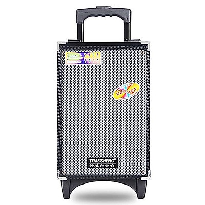 Loa kéo Temeisheng A8-2T - Loa kéo di động bass 2 tấc - Tặng kèm 1 micro