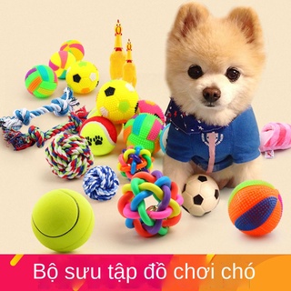A[Gửi tiếng chuông] Chó cưng Răng hàm bị cắn Huấn luyện khả năng kháng âm thanh Đồ chơi bóng Teddy Golden Retriever Bộ d