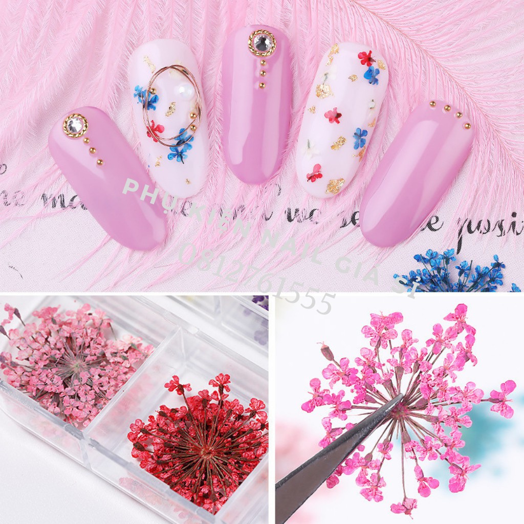 Hoa khô nail trang trí móng cánh nhỏ 12 màu