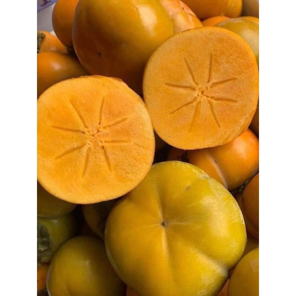 HCM Free Ship - 2kg Hồng Giòn Fuji Mộc Châu Siêu Ngọt