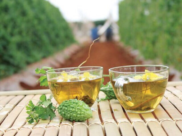 1kg Khổ Qua Rừng (mướp đắng) thái lát phơi khô hàng xanh đẹp. | BigBuy360 - bigbuy360.vn