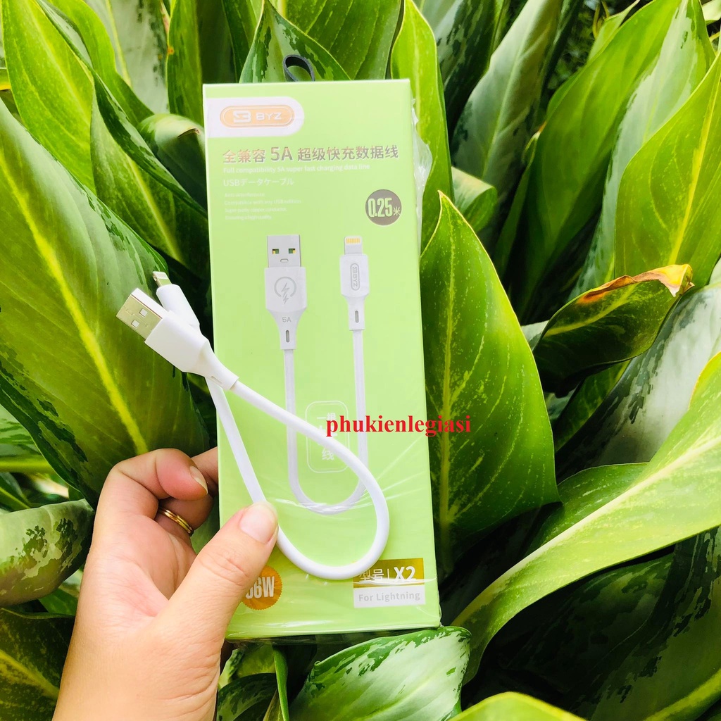 Cáp ngắn 25CM BYZ X2 dòng 5A các đầu micro usb type c lai ning