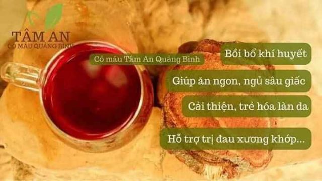 Cỏ máu tâm an