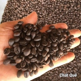 ROBUSTA Cà phê hạt rang xay+ pha máy pha phin cafe dak lak