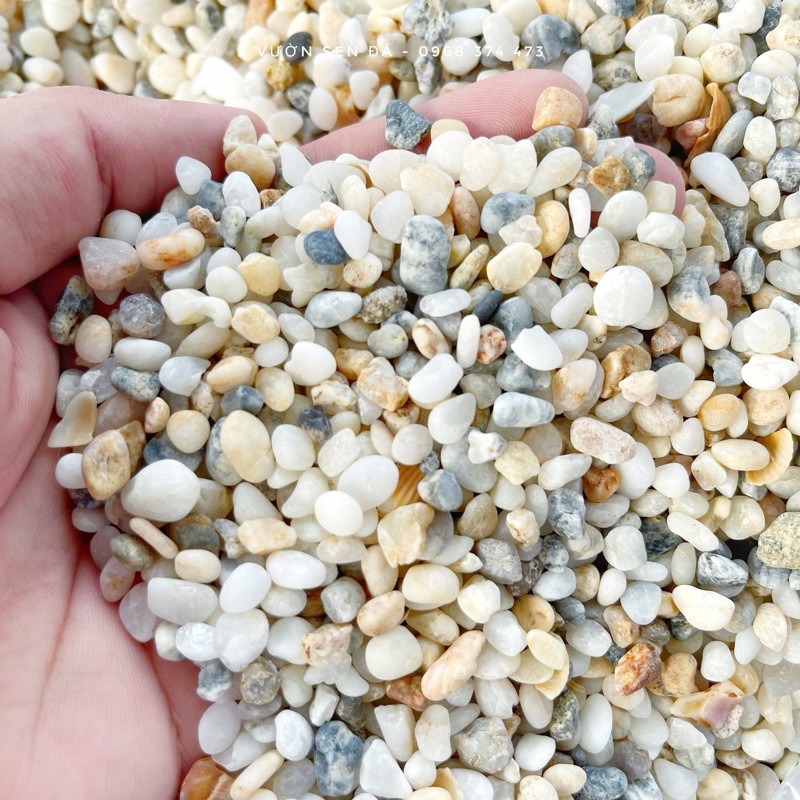 Sỏi ba màu 2-3mm (1kg) - Vườn sen đá