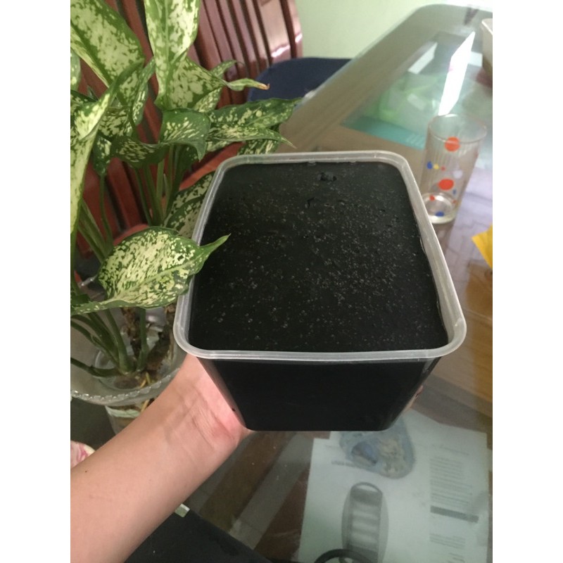 Bột sương sáo Xuất khẩu 1kg