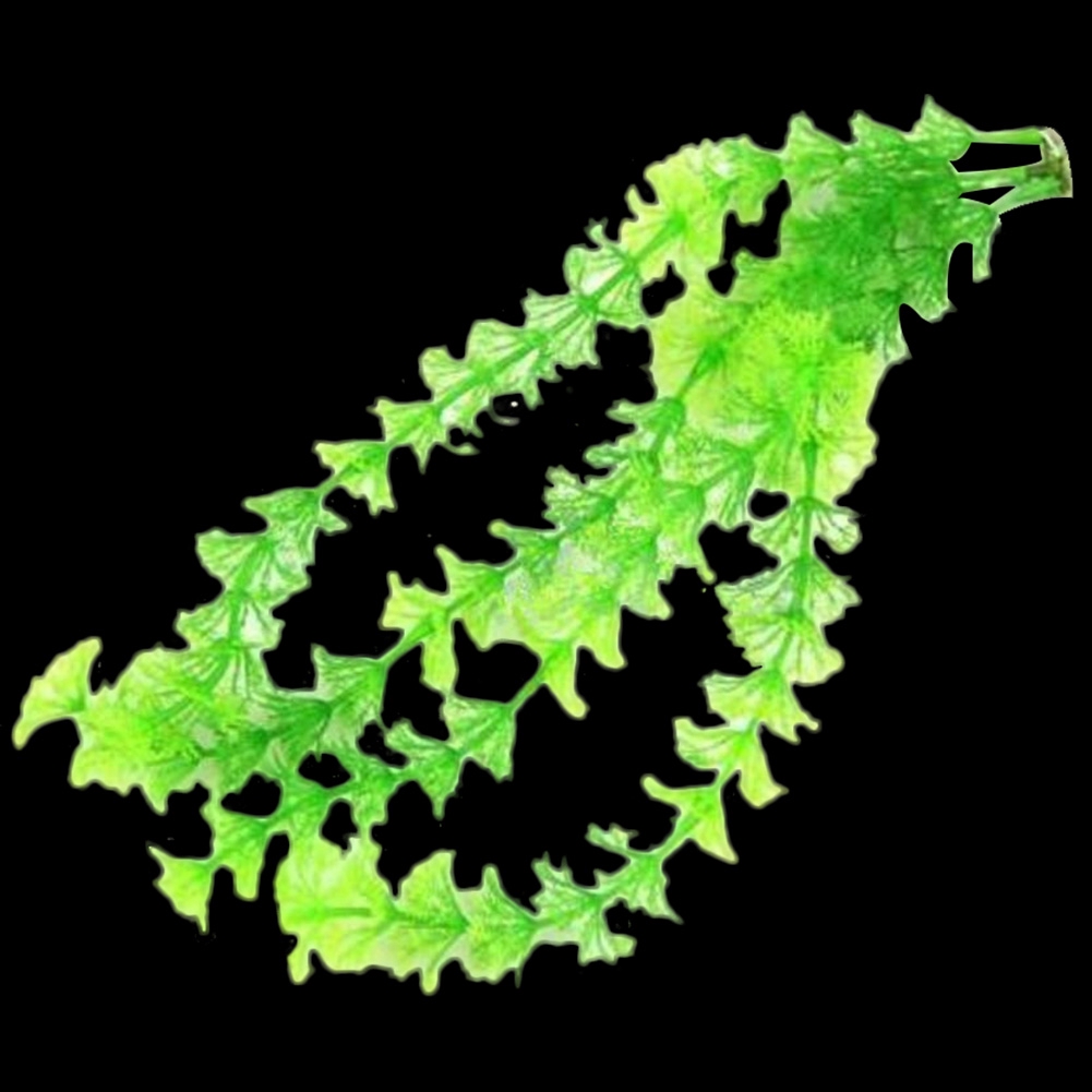 Cây nhựa nhân tạo trang trí bể cá