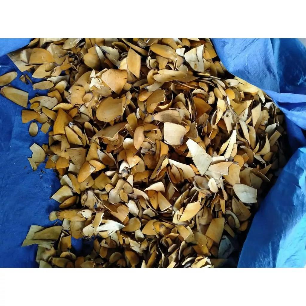 1kg rễ cây hồng rừng, hồng chát, mạy chí