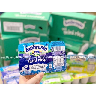 Váng sữa Ambrosia custard - Gerbaby