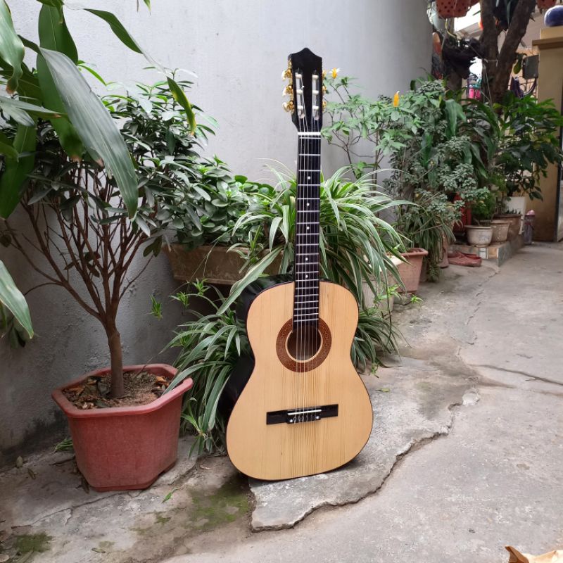 Đàn guitar Classic S48 full phụ kiện