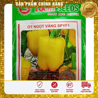 Hạt giống ớt chuông ngọt vàng F1-10 hạt