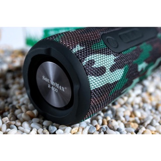 Loa Soundmax R-800