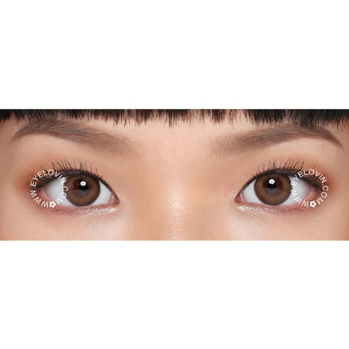 Mèo Con Kawaii Kitty Softlens - Mini Primo Nâu | BigBuy360 - bigbuy360.vn