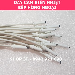 Dây Cảm Biến Nhiệt Bếp Hồng Ngoại (1 đôi)