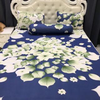 Drap thun hàn quốc