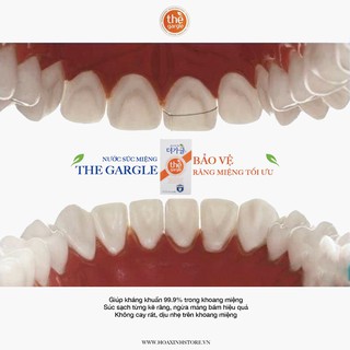Nước Súc Miệng Thảo Mộc Nhân Sâm THE GARGLE