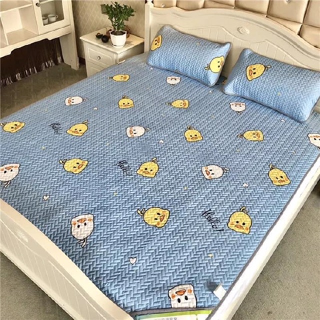 CHIẾU ĐIỀU HOÀ TENCEL, CHIẾU LẠNH HÀN QUỐC CAO CẤP đủ kích thước 1m6,1m8,2m,2m2