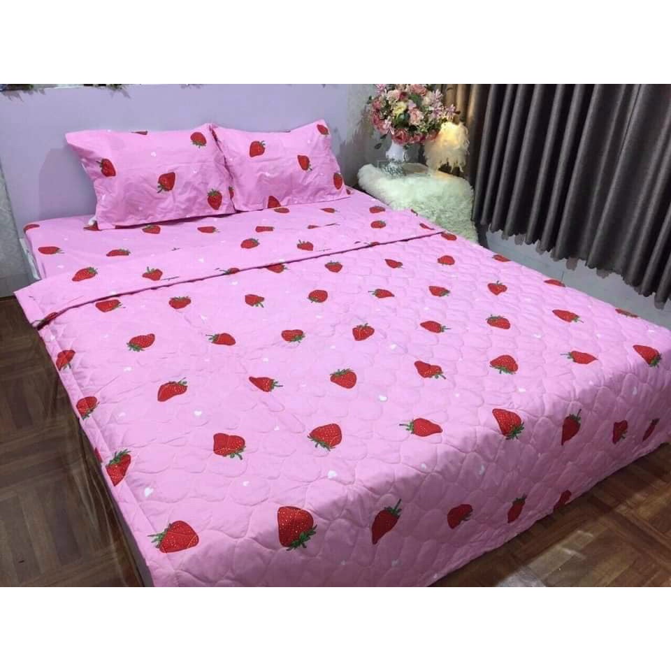 Bộ chăn hè ga gối cottong poly Chăn ga gối 5 món cotton poly chăn hè trần bông ( chát chọn mẫu)