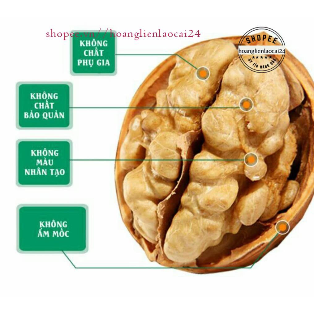 [SP] 1KG QUẢ ÓC CHÓ SAPA