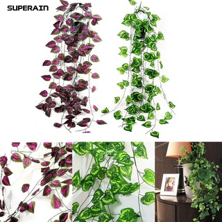 Dây leo trang trí nhà cửa và sân vườn tiện dụng