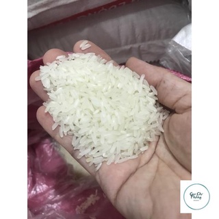 5kg gạo nàng hoa dẻo ít mềm cơm